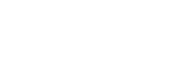 Auto Fashion Imports